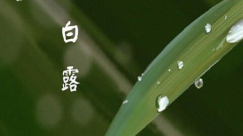 白露時(shí)節(jié)的特征是什么 白露節(jié)氣有哪些習(xí)俗