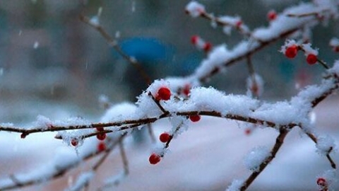 世说新语咏雪原文 世说新语咏雪翻译