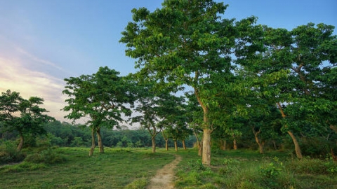 福建氣候類型和特點 福建氣候類型和特點是什么