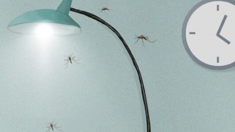 蚊子很多怎么处理 蚊子很多怎么处理方法