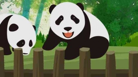 大熊猫有冬眠的属性吗