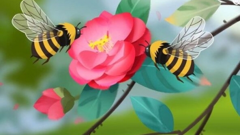世界蜂蜜日是几月几日 蜂蜜日是几月几日