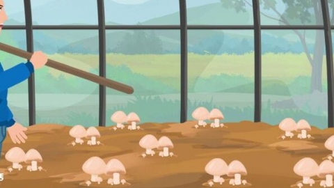 鲜香菇冷冻保存的方法 鲜香菇冷冻保存的方法是什么