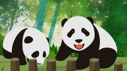 国宝大熊猫有哪些类别 大熊猫有哪些类别