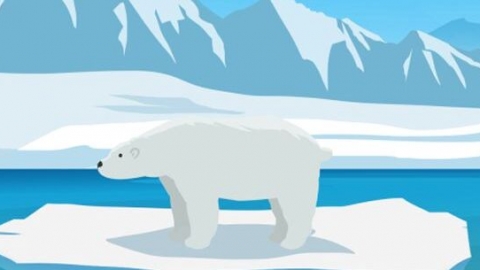 北极熊有多大