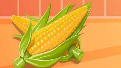 煮熟的玉米可以冷冻保存吗 煮熟的玉米怎么保存