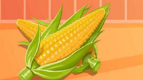 玉米可以冷冻保存吗