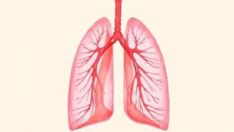 白肺是什么原因引起的