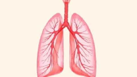 白肺是怎么出现的
