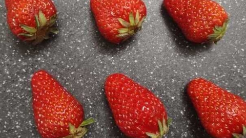 冬天的草莓是不是反季节水果
