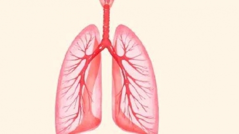甲流为何也会引起白肺 哪些人容易白肺