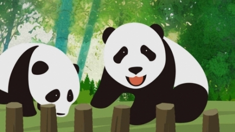 大熊猫智商相当于人类几岁 有何特点