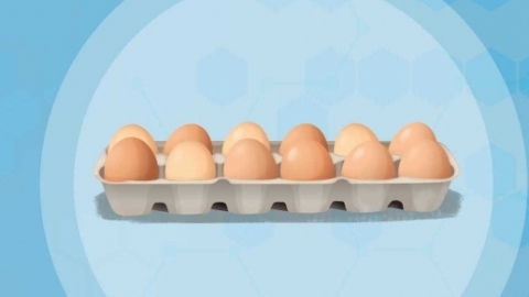 立蛋是什么节气 立蛋是生鸡蛋还是熟鸡蛋