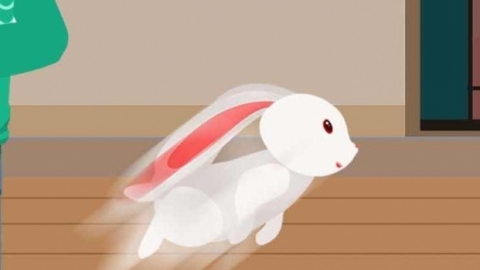 复活节兔子的由来 复活节兔子的意义