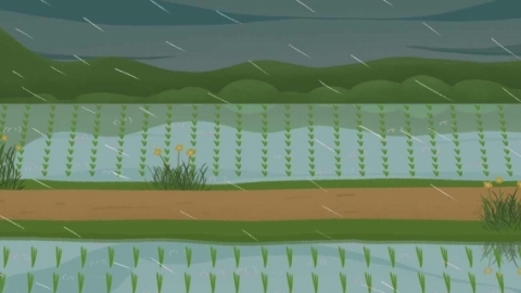 谷雨是什么节气 谷雨的习俗有哪些