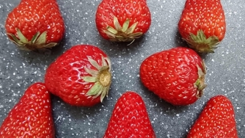 10月份有草莓吗 不同地区草莓成熟的时间