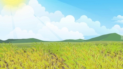 夏至各地风俗 夏至节气农事活动