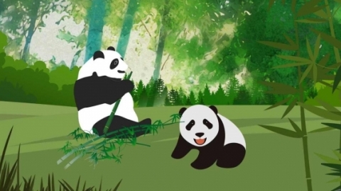 2007年为庆祝香港回归将大熊猫叫什么