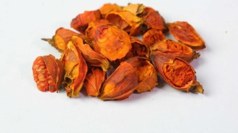 哪种植物在古代用作黄色染料 栀子除了做染料还能做什么