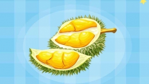国产榴莲有哪些品种 国产榴莲几月份成熟