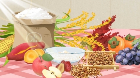 10月16日是什么节日 世界粮食日的由来