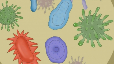 合胞病毒是怎么引起的 合胞病毒的治疗方法