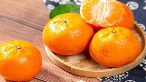 1998年哪种水果产量是百果之首 柑橘是几月份的水果