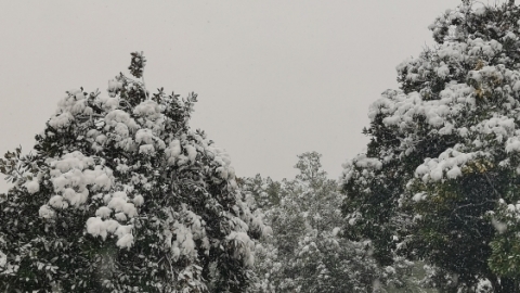 暴雪天气的形成原因 暴雪天气的预警准备