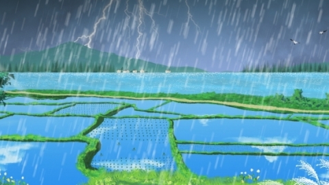雨水三候是指哪三候 雨水节气的时间是什么时候