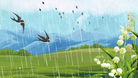 雨水时节的天气是怎样的 雨水节气有哪些农事活动
