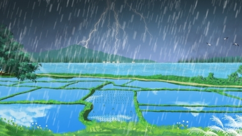 描写雨水节气的优美句子 雨水节气的祝福语句子
