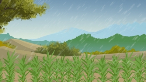 雨水节气物候特点是什么
