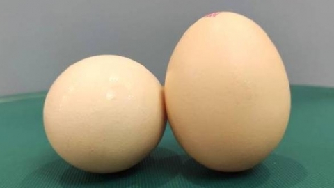 10斤鸡蛋腌制放多少盐多少酒 咸鸡蛋的营养价值
