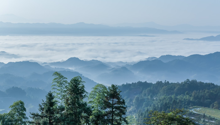 望岳的全诗翻译