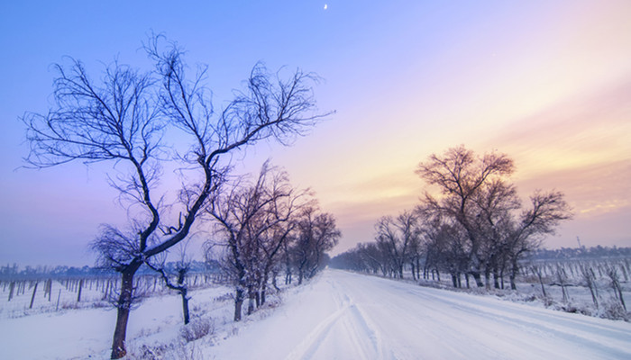 大雪节气北方吃什么