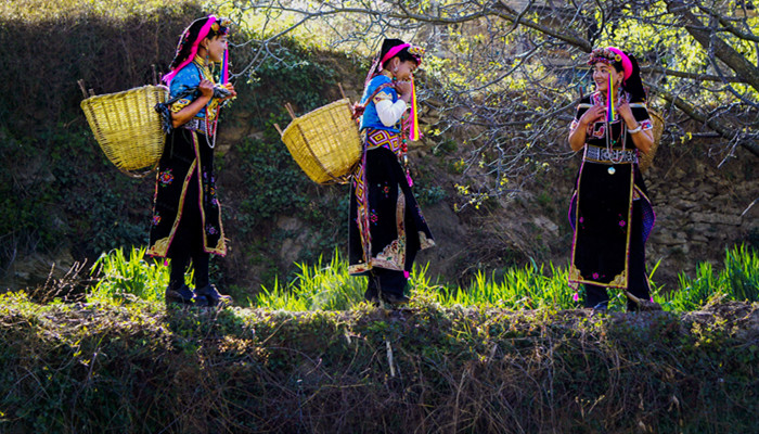侗族的婚俗是什么