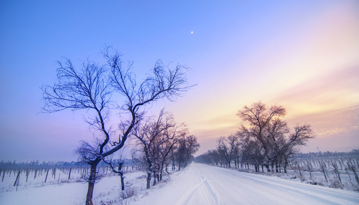 冬至是南半球全年中白天最长夜晚最短的一天吗