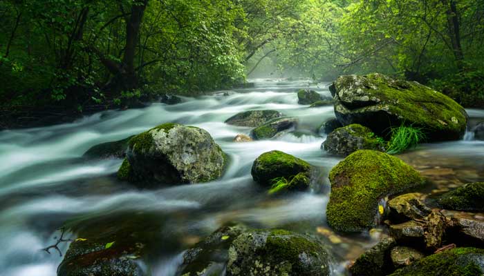 山澗溪水詩(shī)詞佳句