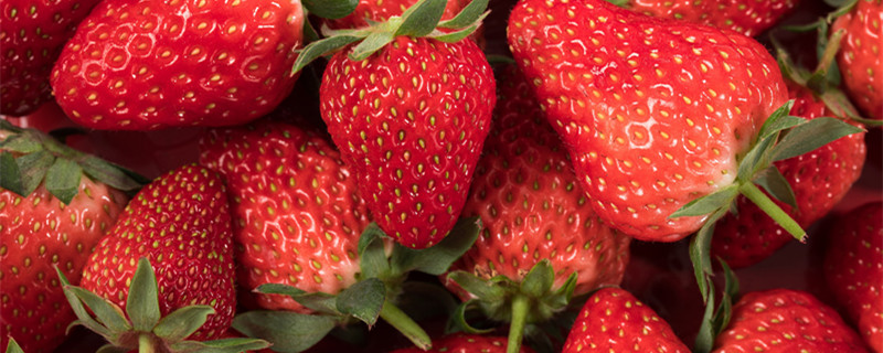 吃的草莓是什么部位