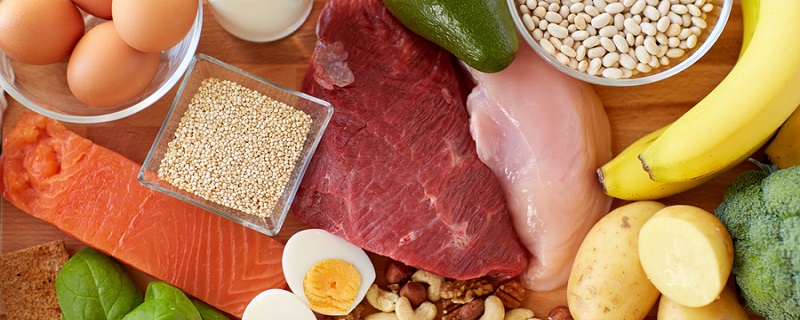 肉属于蛋白质还是脂肪