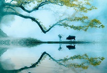 杜甫号称什么