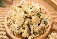 胎菊和菊花的功效区别 胎菊和菊花的功效区别是什么