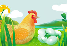 綠殼雞蛋的營(yíng)養(yǎng)價(jià)值