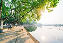 暖树是什么意思 暖树是什么意思是什么
