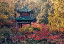 二月花是哪首诗 二月花的完整诗句