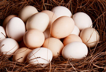 公鸡蛋的功效是什么 公鸡蛋的功效与禁忌