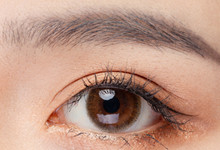 眉毛生长周期为几个月 眉毛生长周期多长时间