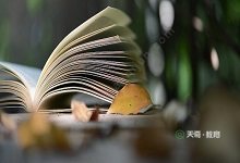 我与地坛是一本什么散文名作