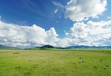 青藏高原湿地成因有哪些 青藏高原湿地的成因
