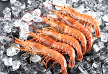 冰虾是生的还是熟的 冰虾是熟的还是生的